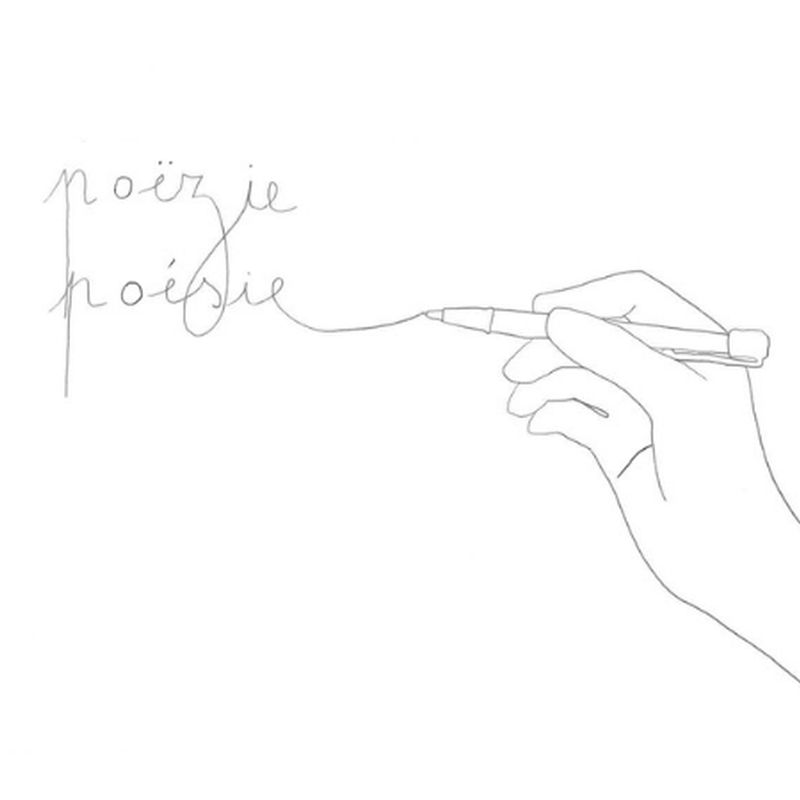 Ontdekking Van De Poezie