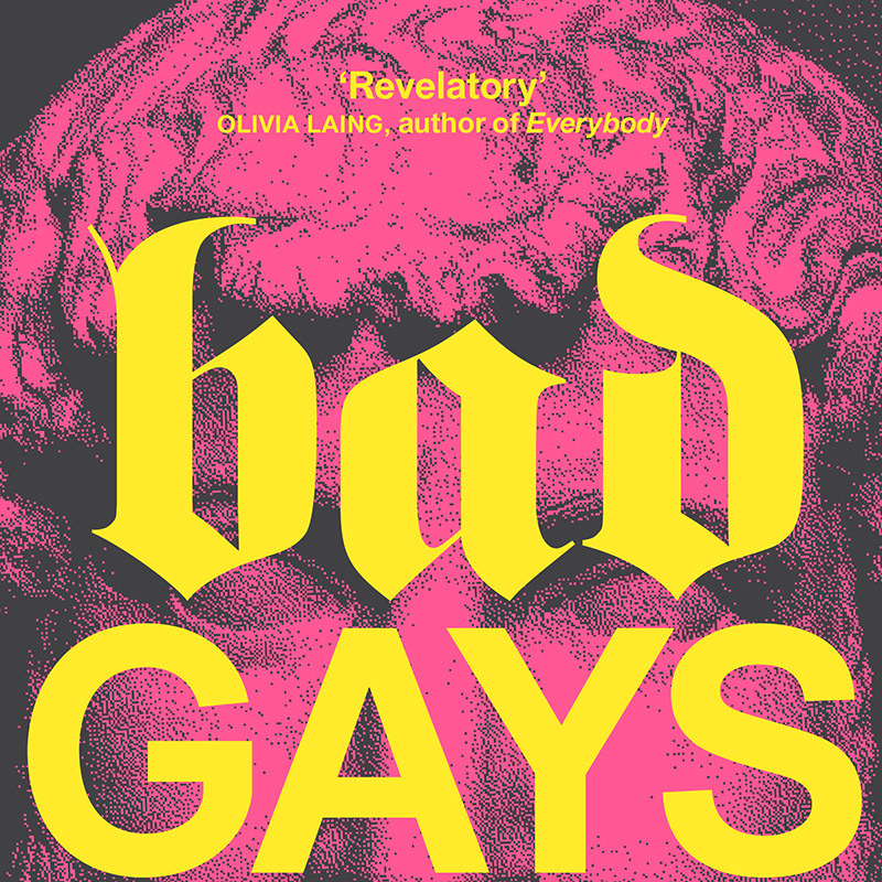 Bad gays boek cover